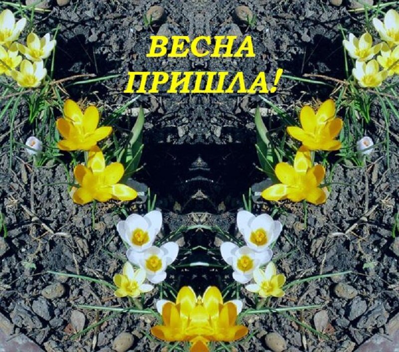 Весна пришла! - Дмитрий Никитин
