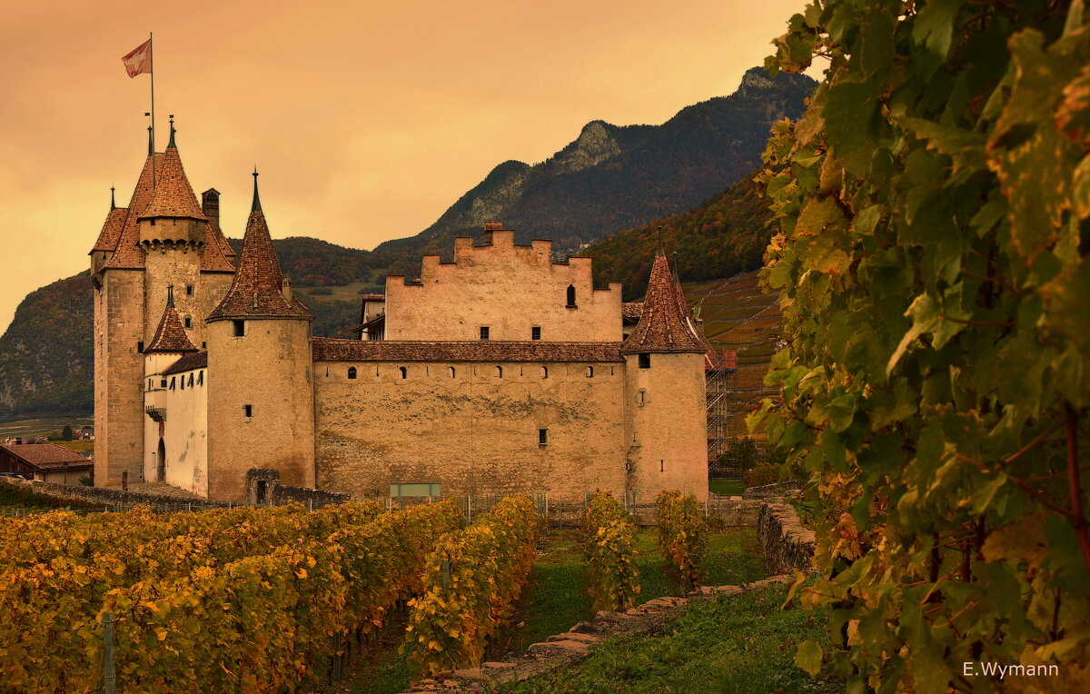 Castle Aigle - Elena Wymann