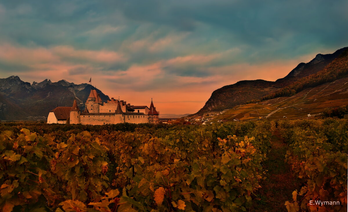 Castle Aigle - Elena Wymann