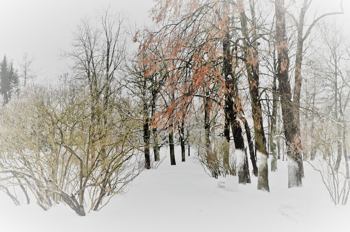 Зимы прекрасное творение... - Sergey Gordoff