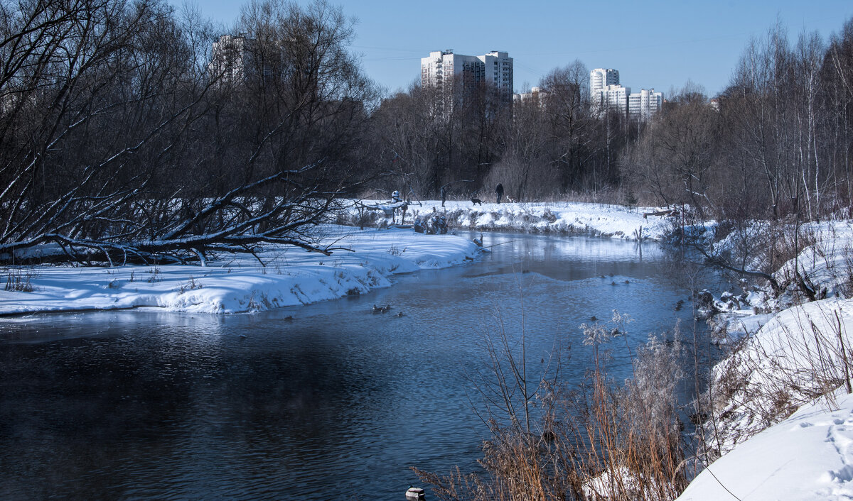 р.Сходня - Владимир Безбородов