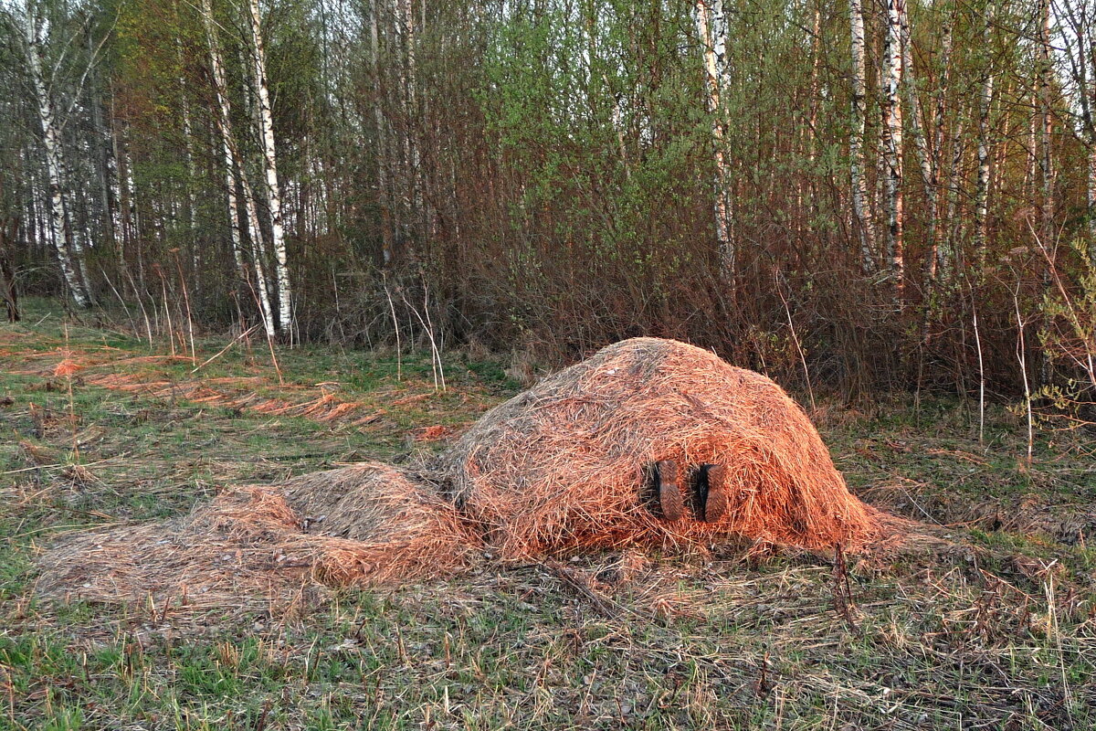 Лежать во сне на сене – знак того, что вы обретете тихую радость - Анатолий Мо Ка