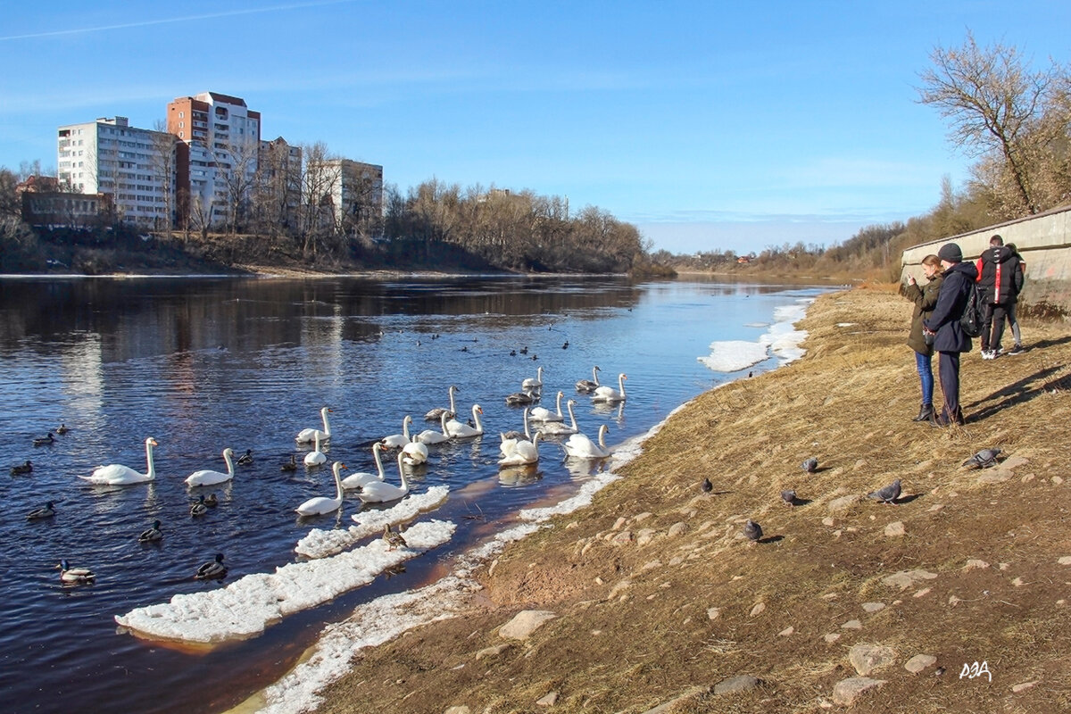 *** - Роланд Дубровский