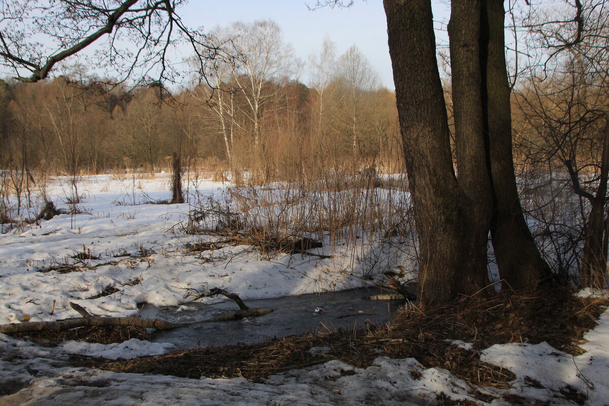 пейзаж по дороге на речку - Илья 