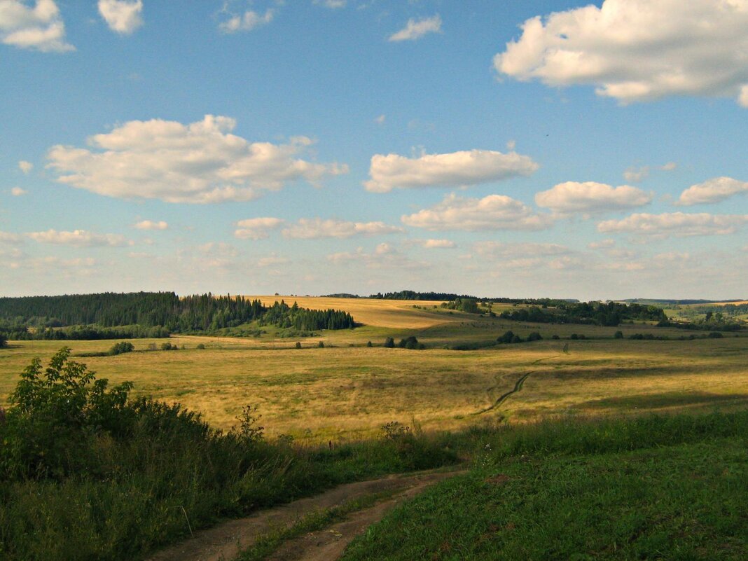 Летний пейзаж - Татаурова Лариса 