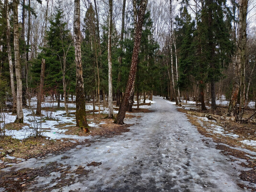 Несолнечный день апреля - Андрей Лукьянов