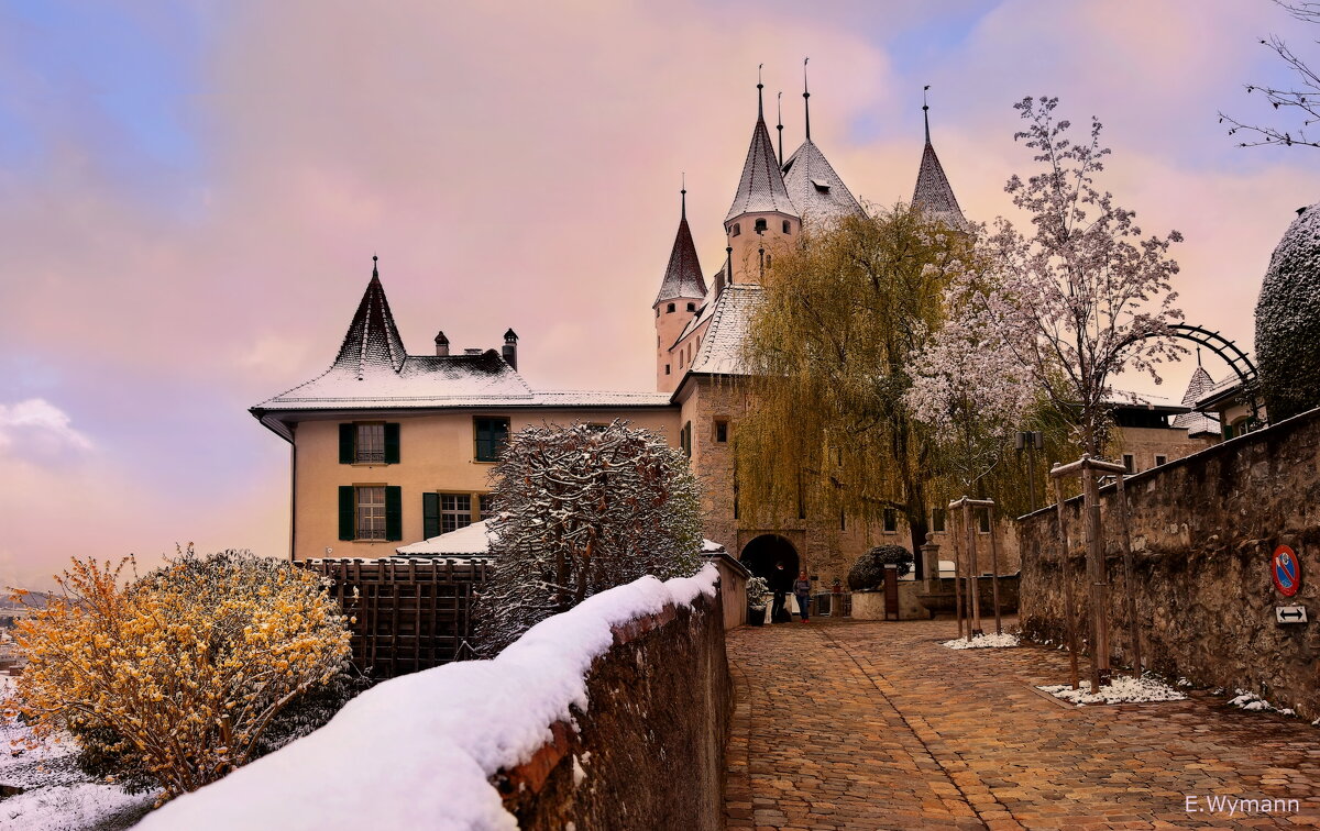 Schloss Thun - Elena Wymann