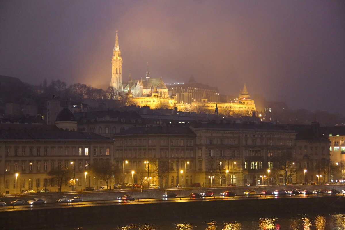 туманно и дождливо в Будапеште вечером - Andrey Bragin 