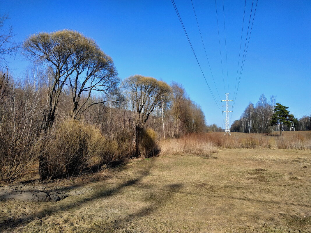 Апрель в парке - Андрей Лукьянов