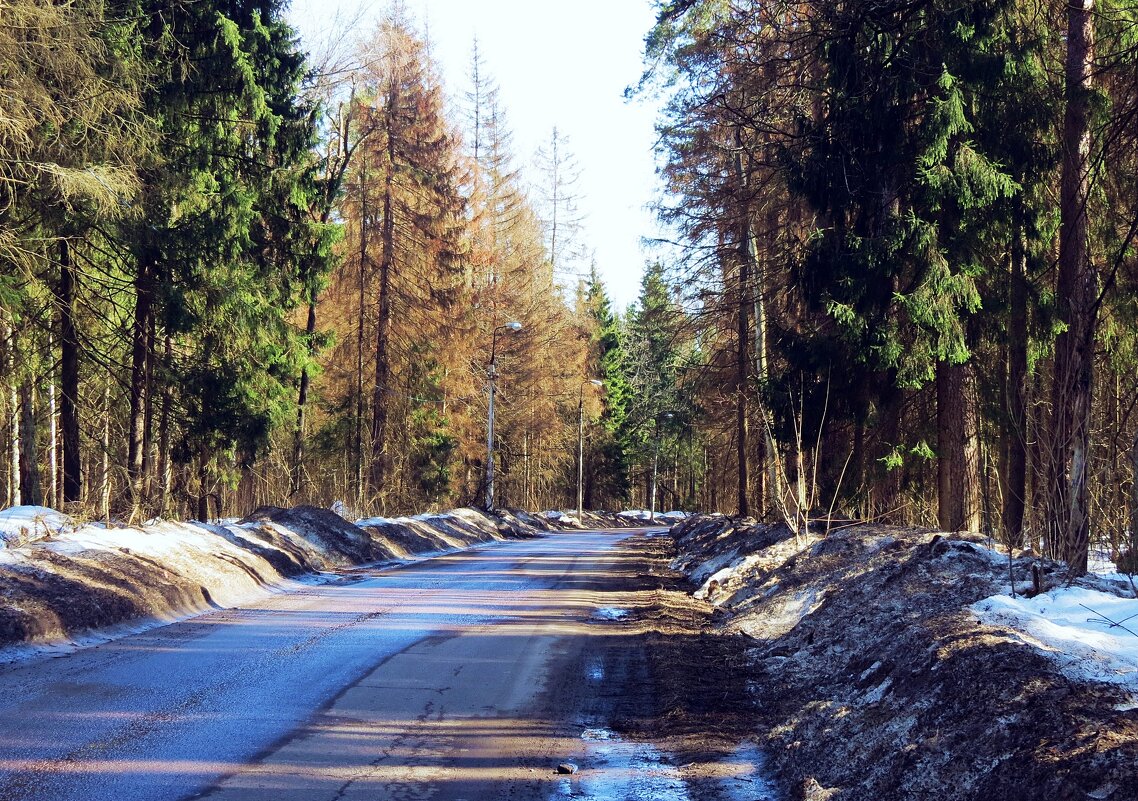 Подмосковное шоссе - Евгений Кочуров