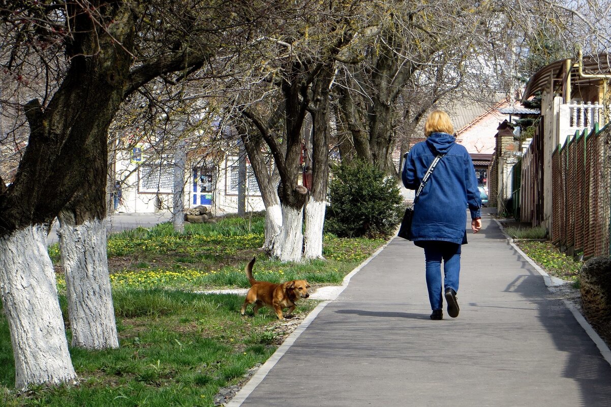 Со второй половины апреля синоптики прогнозируют довольно дружную весну - Татьяна Смоляниченко