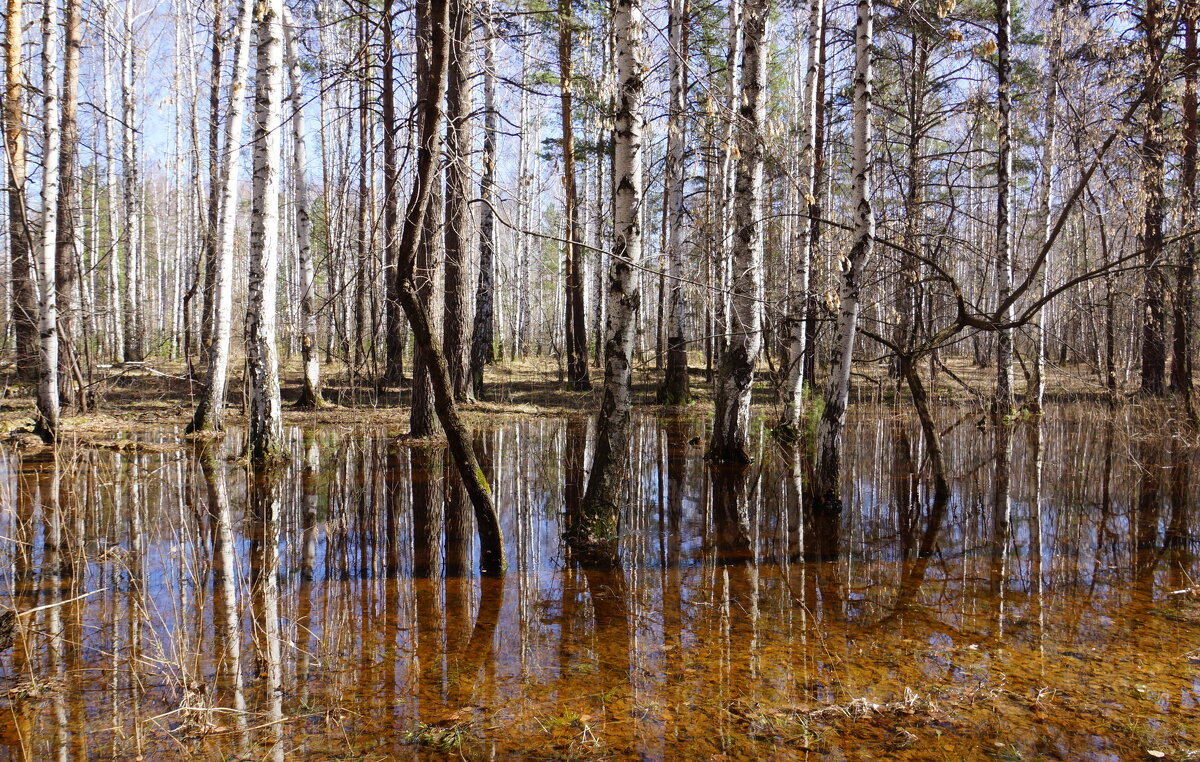 Вода, вода....кругом вода... - Анна Суханова