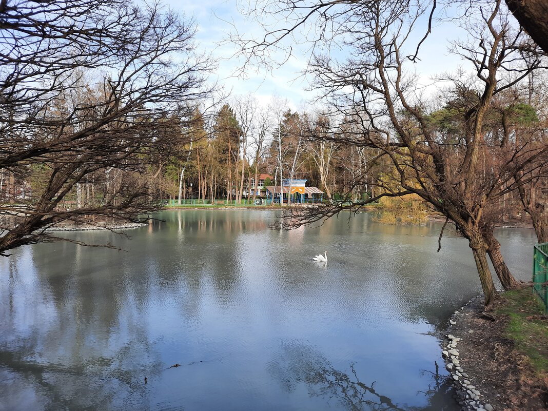 Весна в старом парке - Dimos Izgor