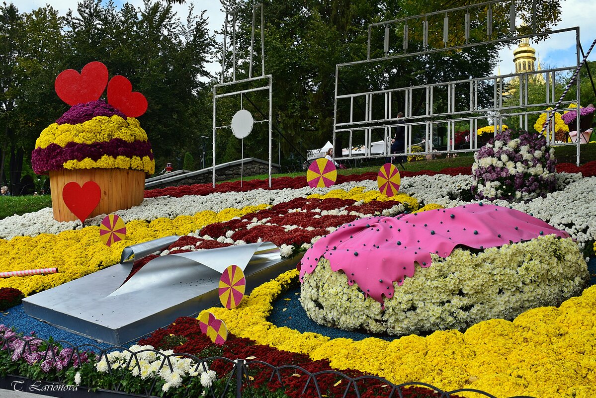 Праздник хризантем на Спивочем поле. Киев - Татьяна Ларионова