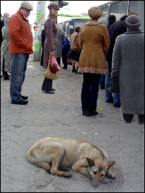 На Остановке - Меднов Влад Меднов