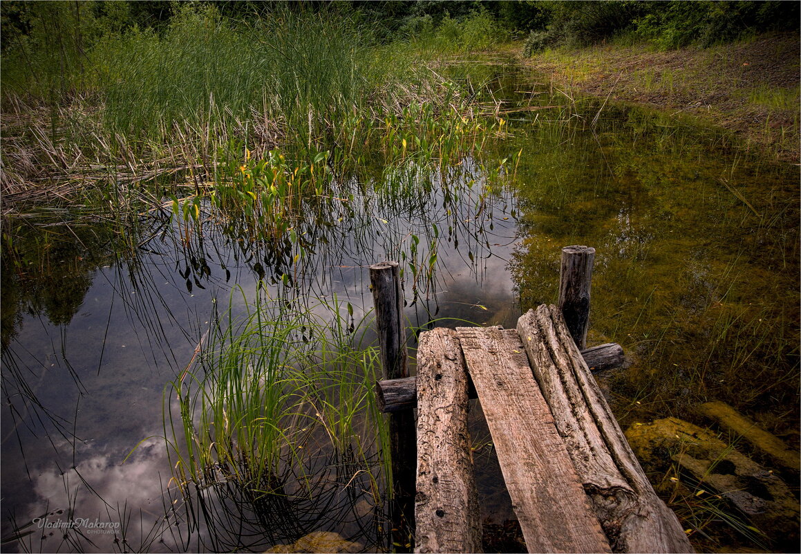 "Заросший пруд. Мостки"© - Владимир Макаров