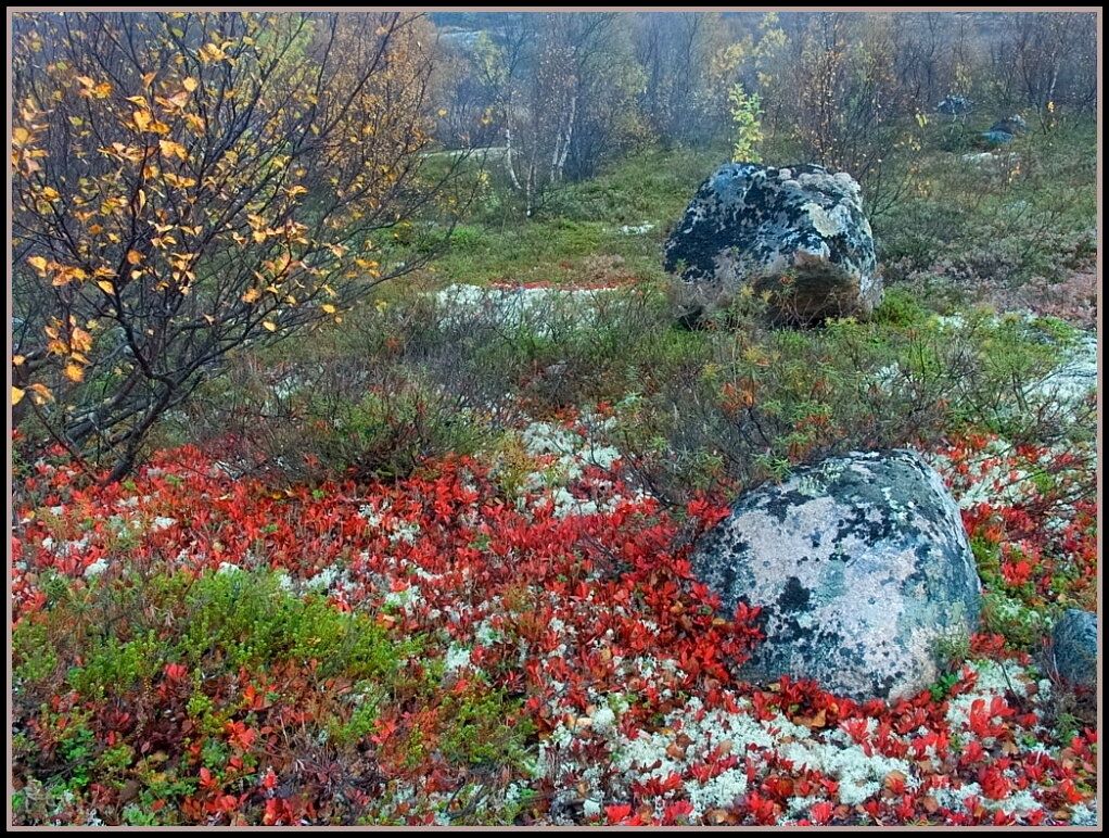 Осень - Владимир Стаценко
