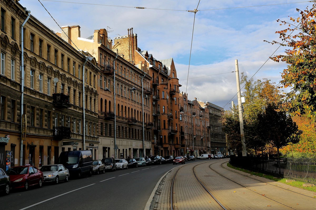 Кронверкский проспект - Елена Разумилова