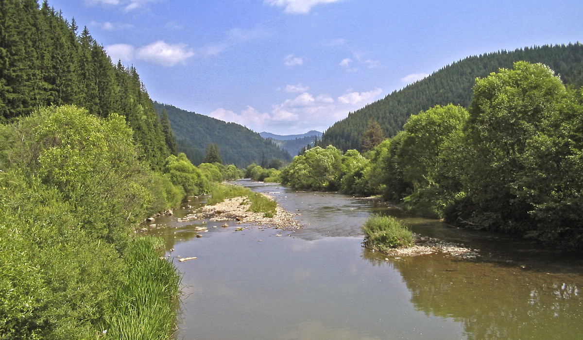 The River in Ukrainian Carpathians - Roman Ilnytskyi