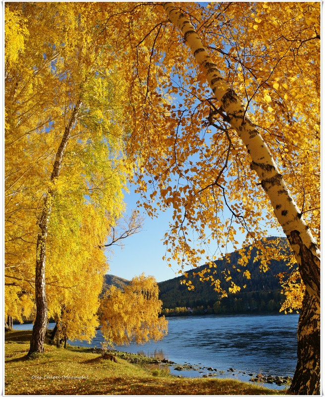 Осень в Хакасии - MaOla ***