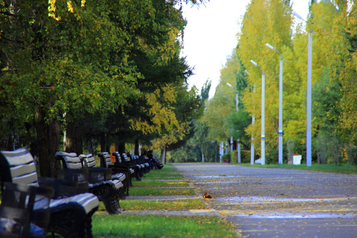 Осень в парке - Наталья 