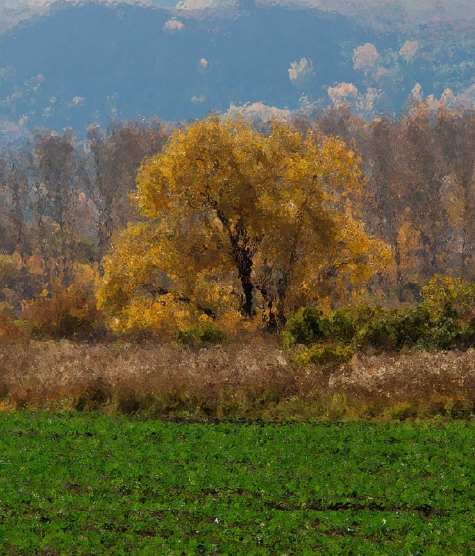 осень - lev makhnev