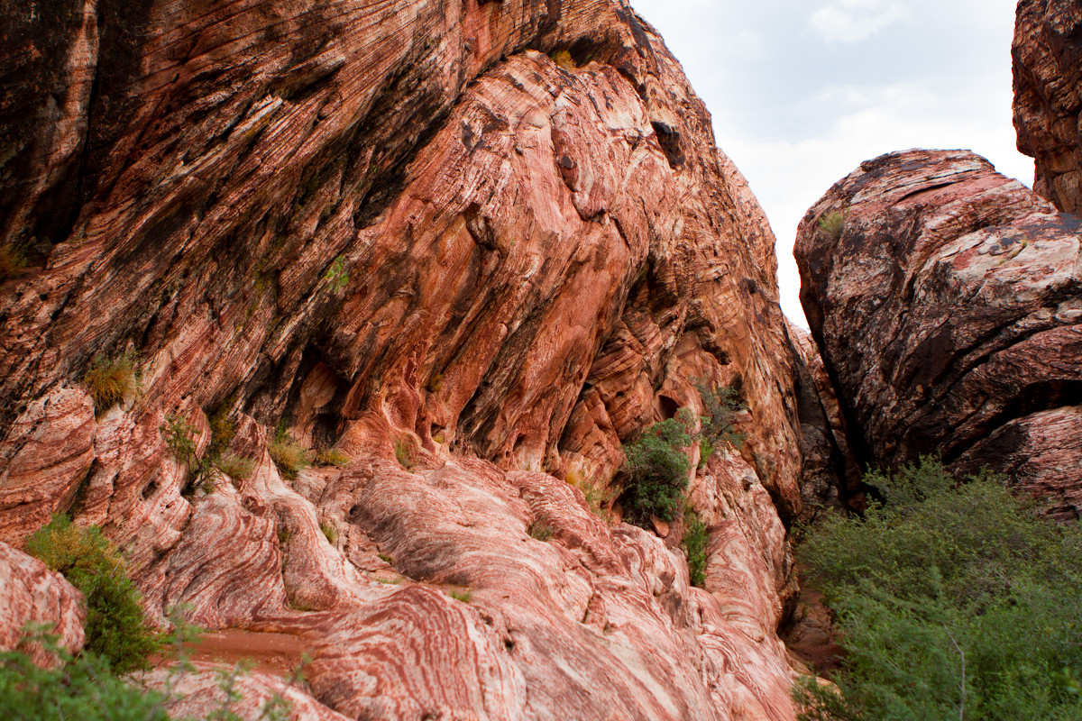 Red Rock Canyon, Nevada. - Polina Lymareva