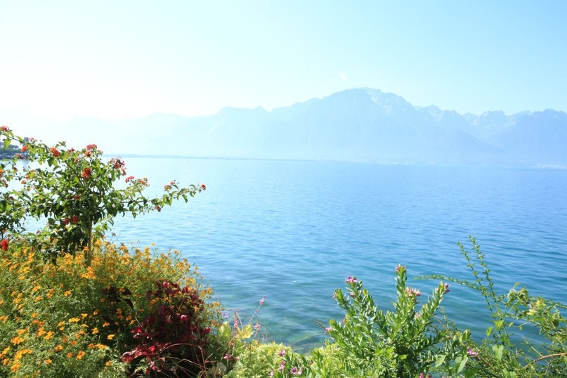 Lac Léman (Серия) - Veronika Chernyshova