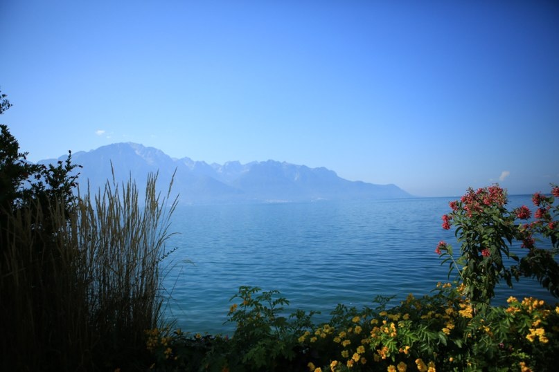 Lac Léman (Серия) - Veronika Chernyshova