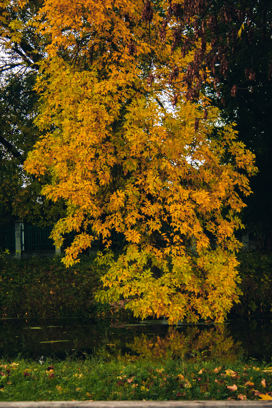 Осень - Андрей Канивец