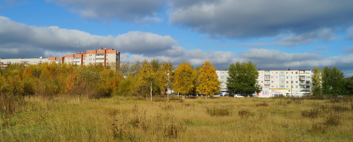 Осень в городе - Елена Перевозникова