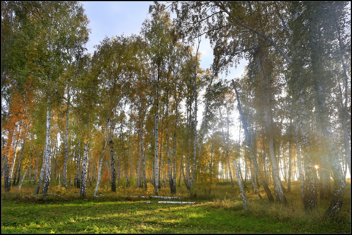 *** - Валерий Ушаков