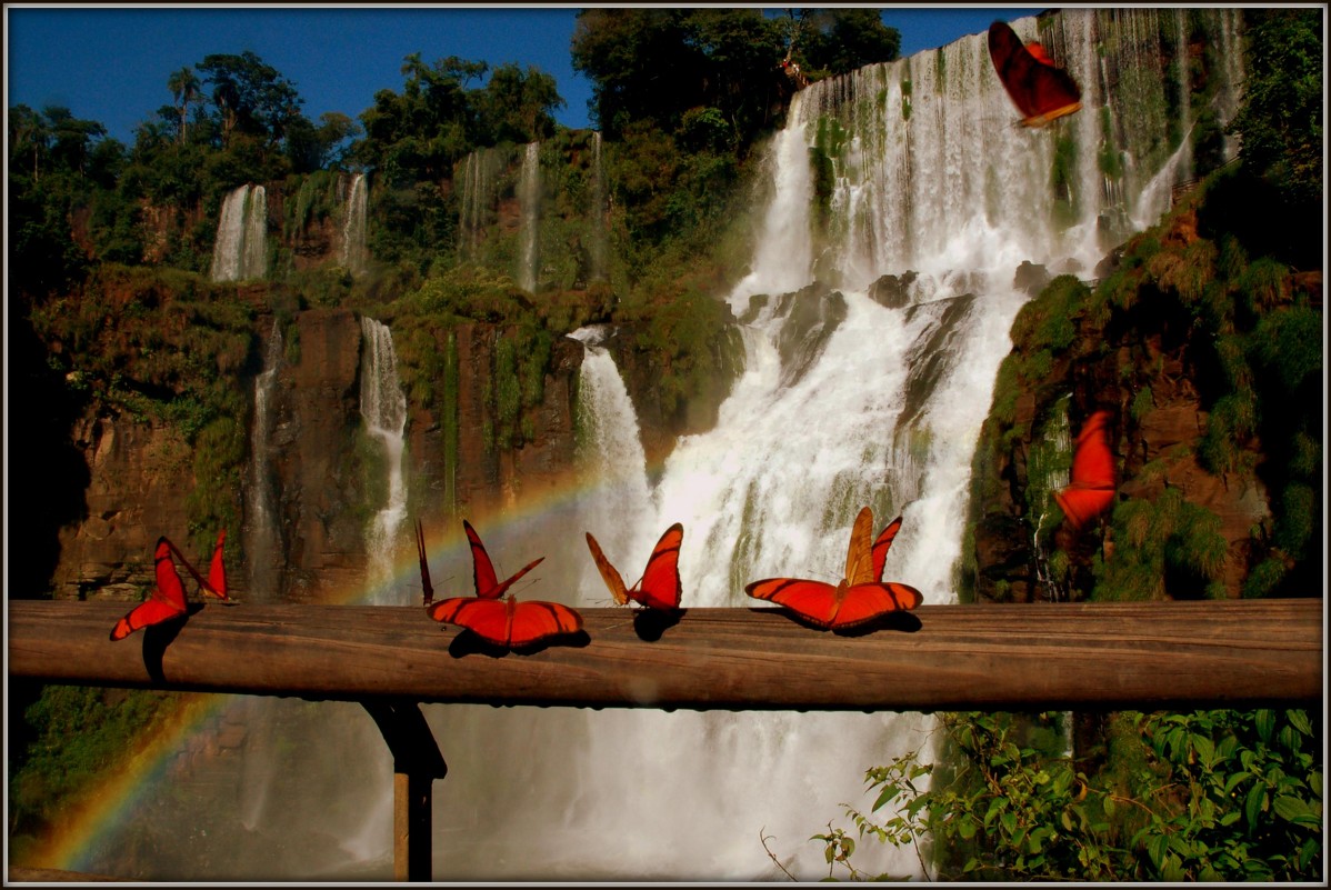 Водопад Игуасу - Naty ***