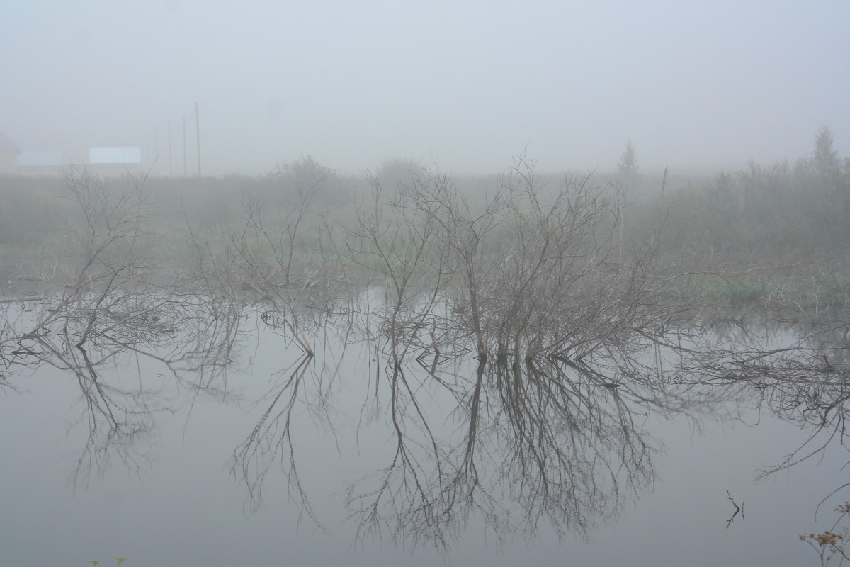 Туман над озером. - Ирина Киямова