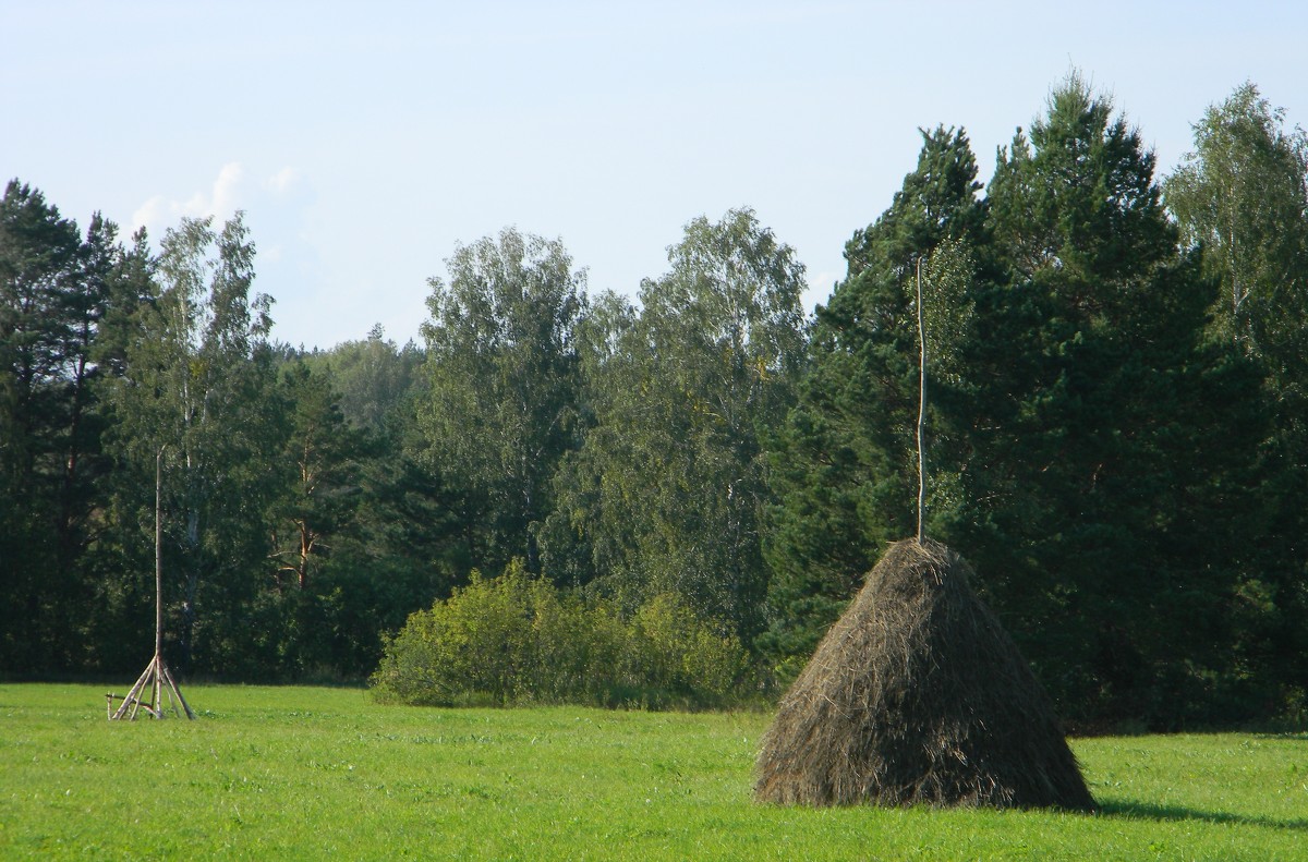 *** - Светлана Макурина