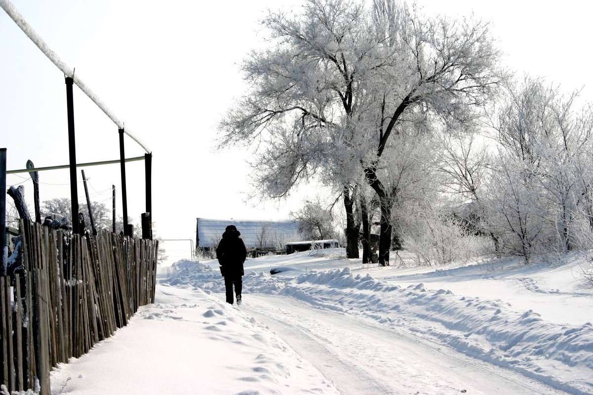 Зимний путешественник - Светлана Ропина