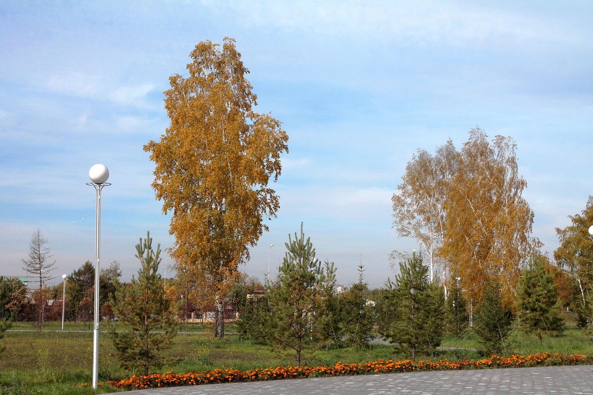 ОСЕННИЙ ПАРК - Светлана Белоусова