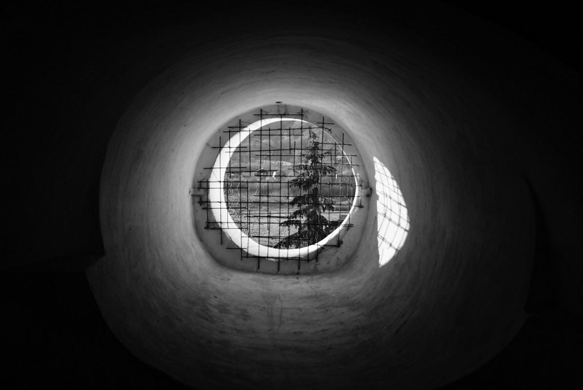 Вид с колокольни Спасского собора - Анастасия Махова