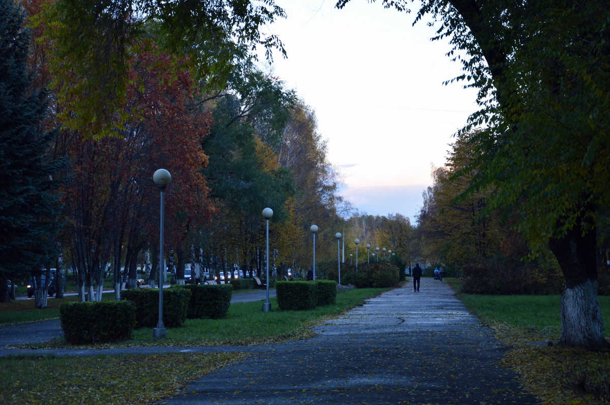 Осенний Новокузнецк - Ольга Логачева