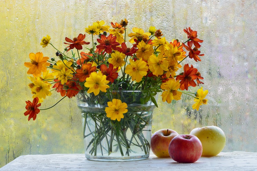Желтые цветы - Надежда Пелымская 