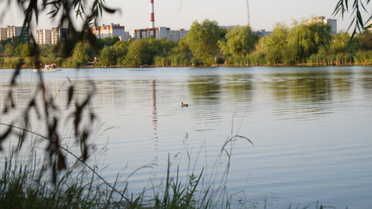 Озеро в городе - Вячеслав Балабанов