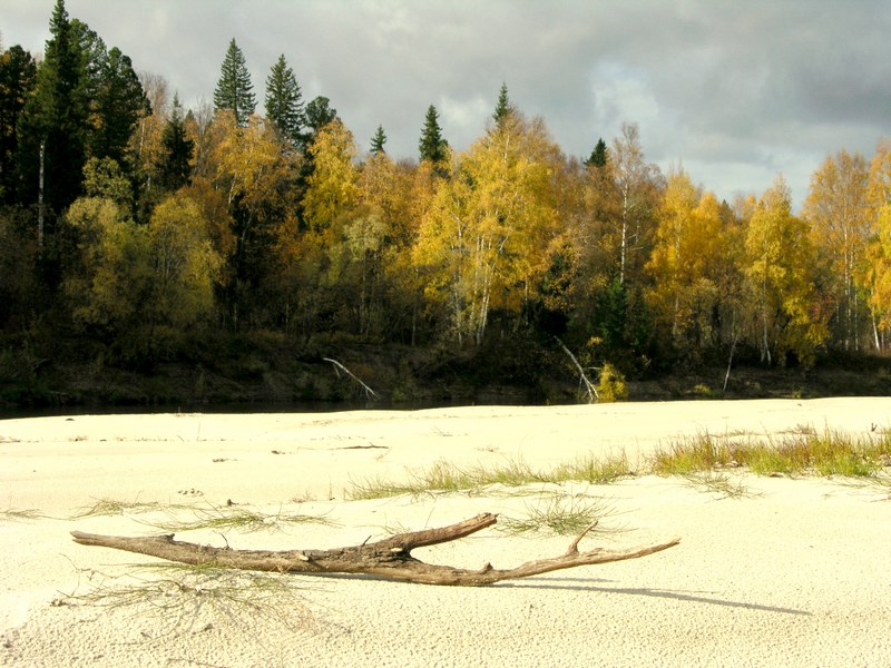 Осень на реке - Valeriy Somonov