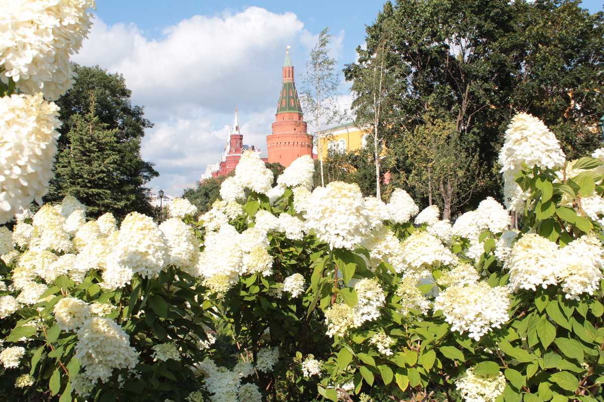 Москва. Кремль - Олег Фролов