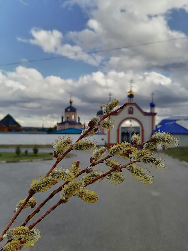 Вербное воскресенье - Оксана Романова