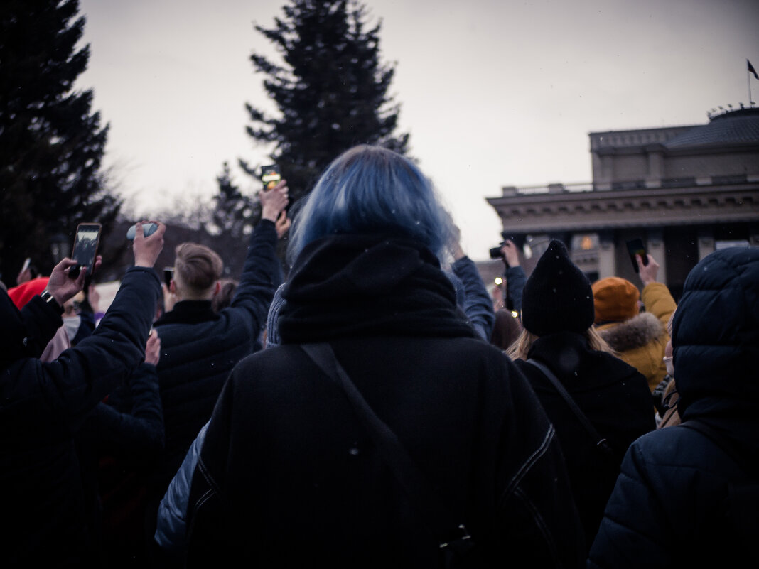 На митинге - Елена Берсенёва