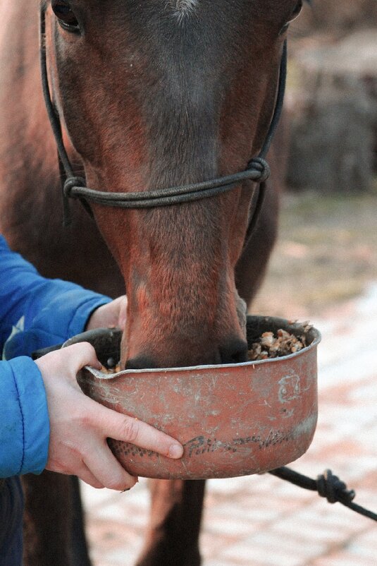 Love is... Когда тебя кормят с ручек - Foto_bell Белянская