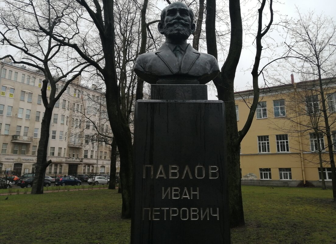 Бюст Павлова в Санкт-Петербурге - Митя Дмитрий Митя