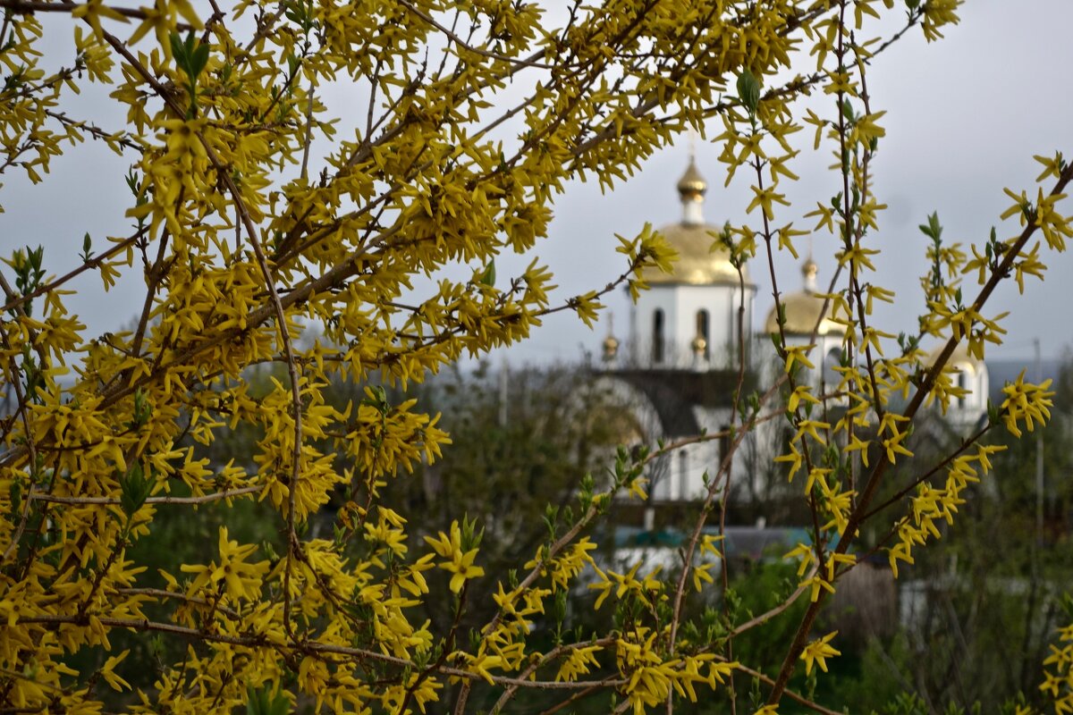 в храмовом комплексе в Ессентуках - Елена 