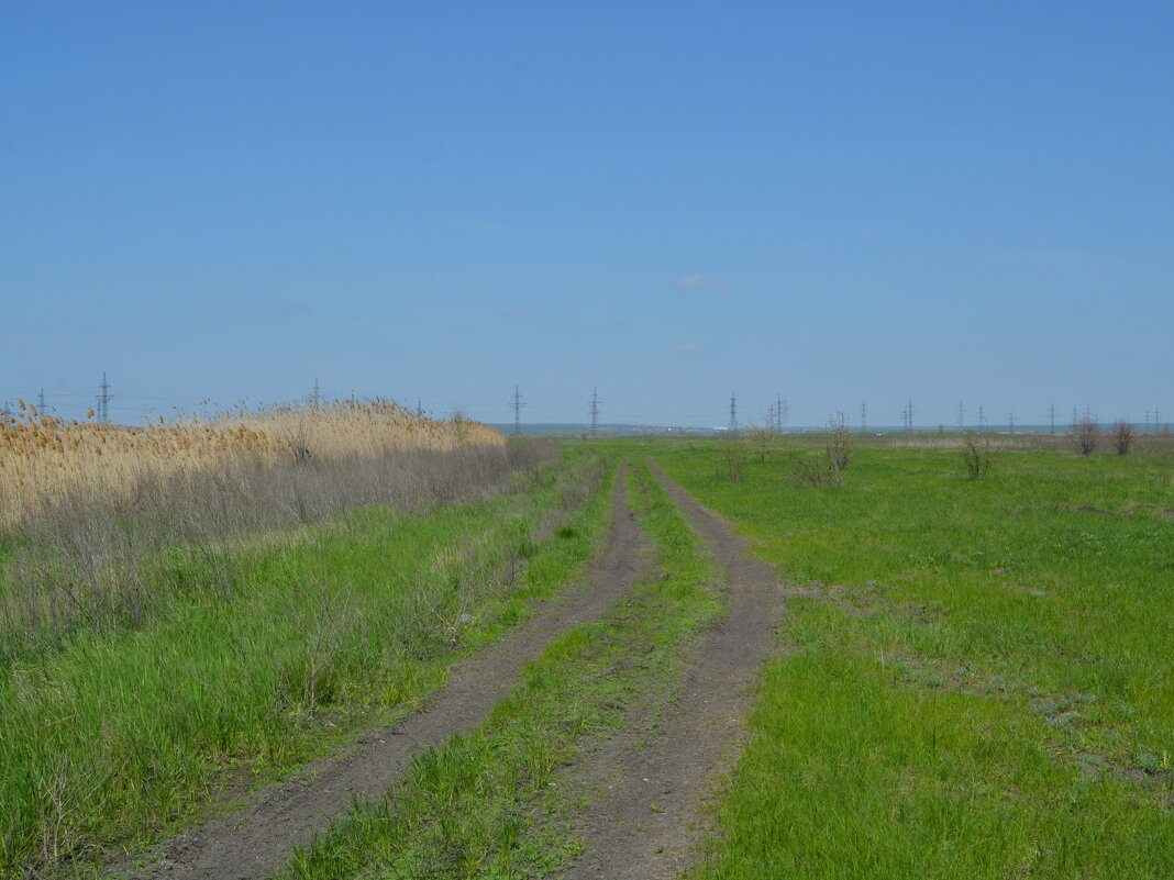 Новочеркасск. Дорога в пойме реки Аксай. - Пётр Чернега