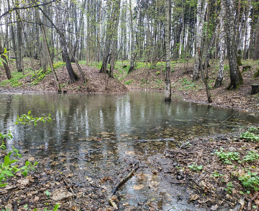 весенняя вода - Валентина. .